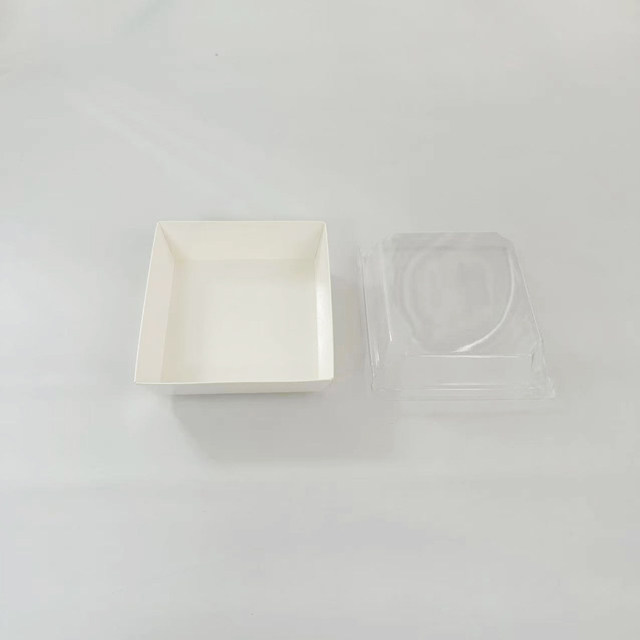 PET lid for Large Square Bakery Tray